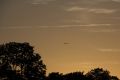 08 Abenddaemmerung und Queranflug eines Einheimischen.jpg